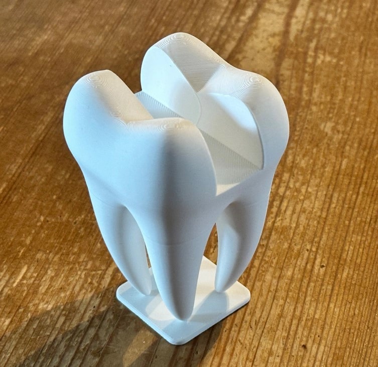 Porta Cartão em Formato de Dente